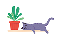 chat